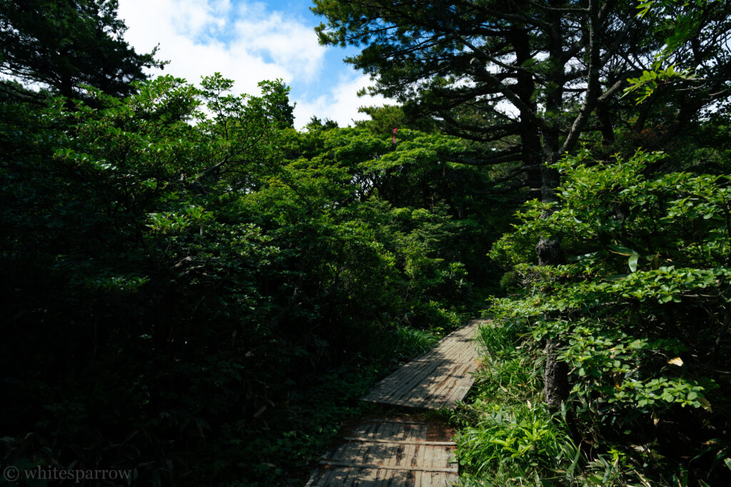 あだたら山ロープウェイ山頂駅周辺