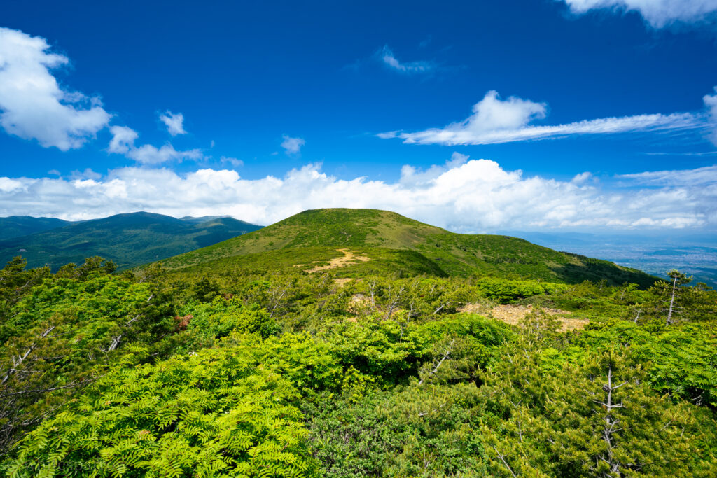 箕輪山