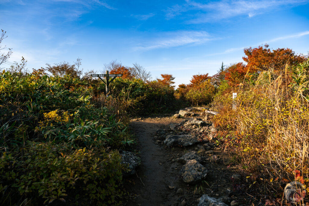 野地温泉横向温泉分岐