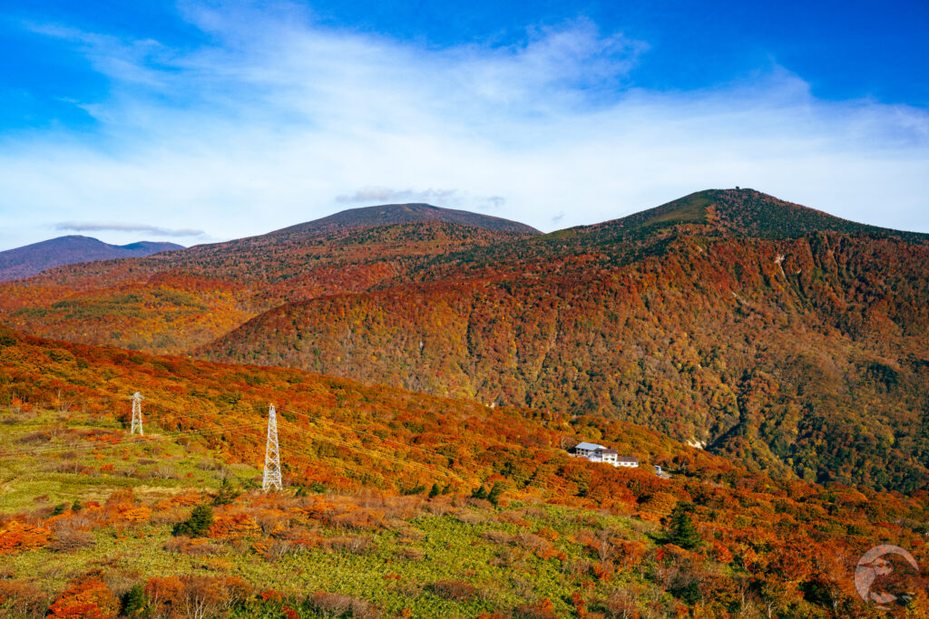 野地温泉朝の紅葉