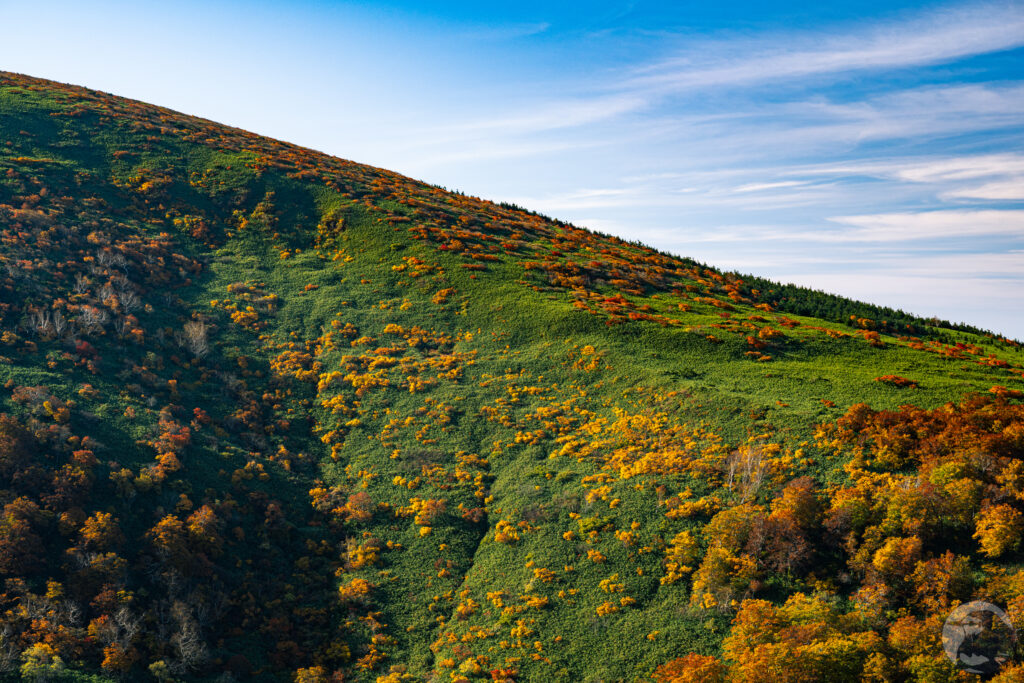 箕輪山紅葉の尾根