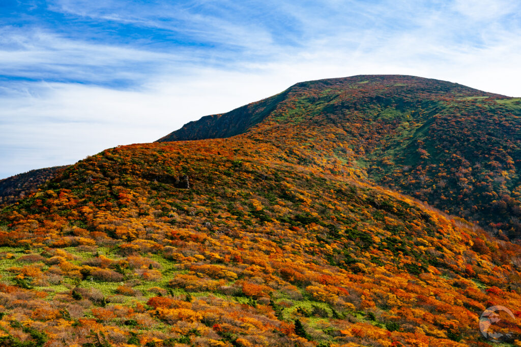 箕輪山北面の紅葉