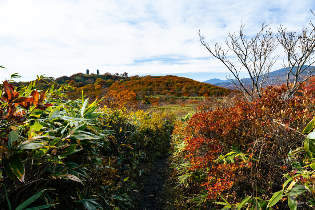 鬼面山帰り