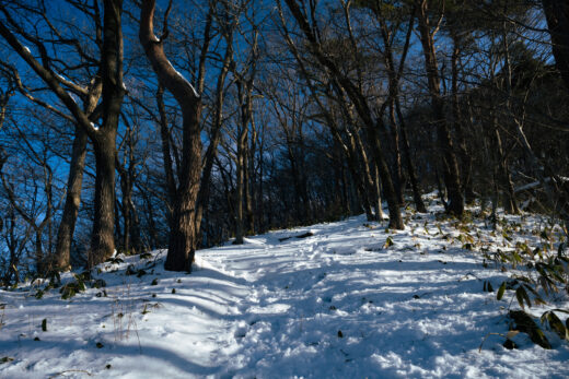 【阿武隈】一盃山〜雪の里山ハイキング〜【3月】
