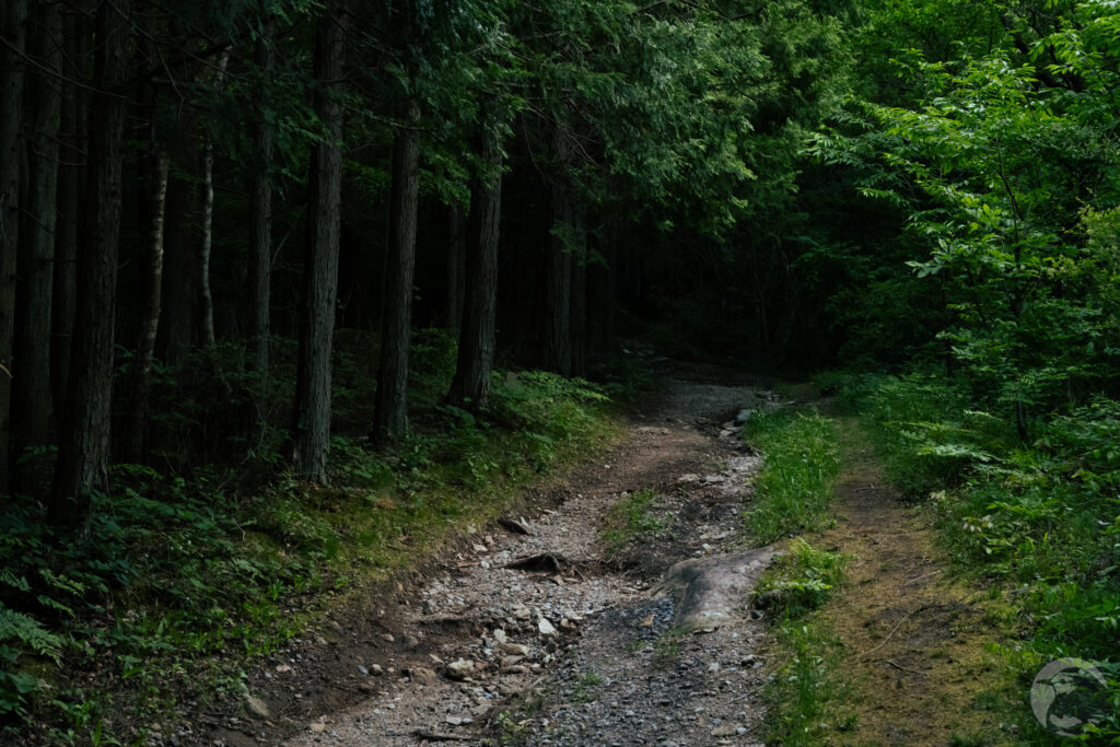 登山道入り口近く
