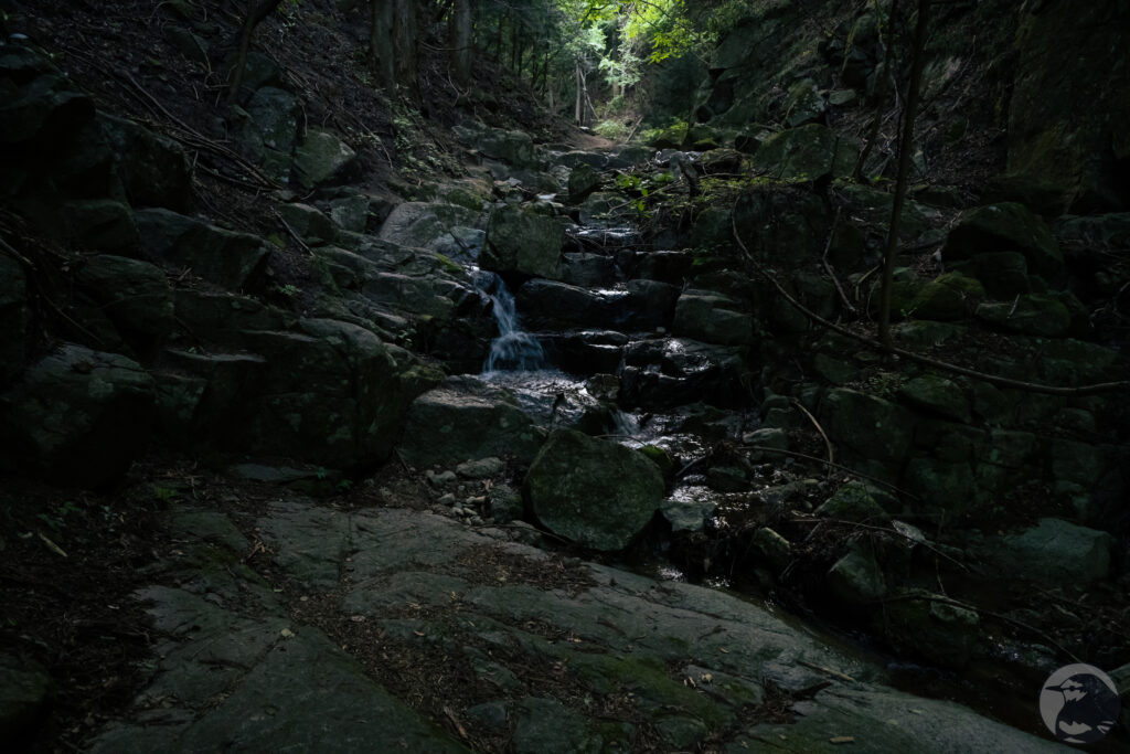 沢沿いの岩場