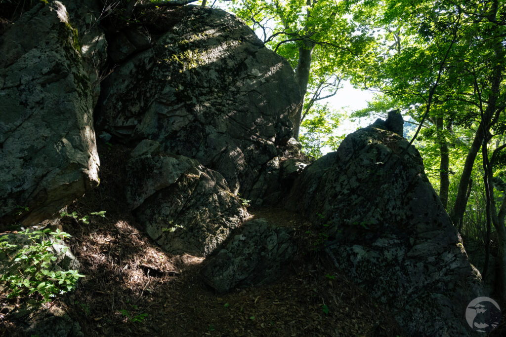 二ツ箭山山頂への登山道