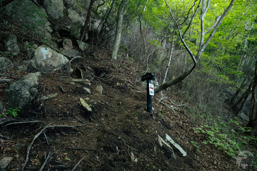 二ツ箭山山頂分岐