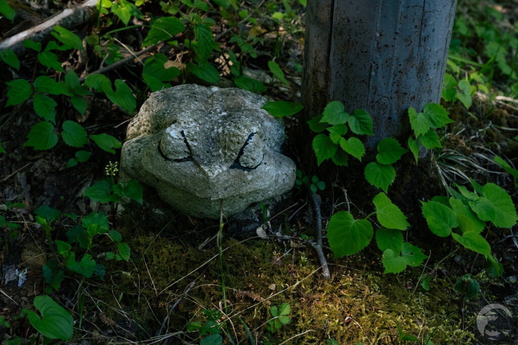 鳥居のカエル