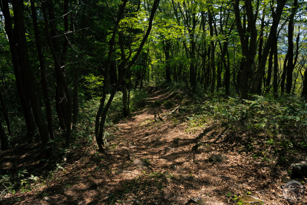 下山道途中