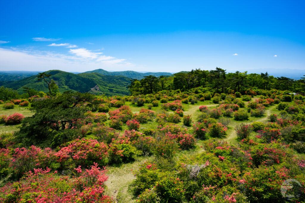 山頂西方面