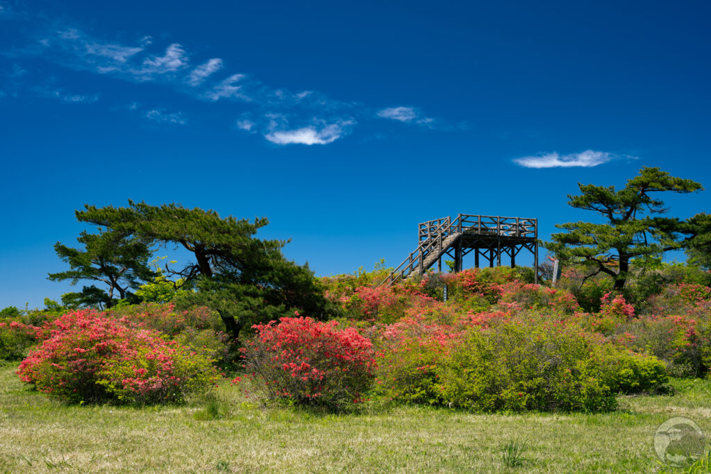 山頂展望台遠景