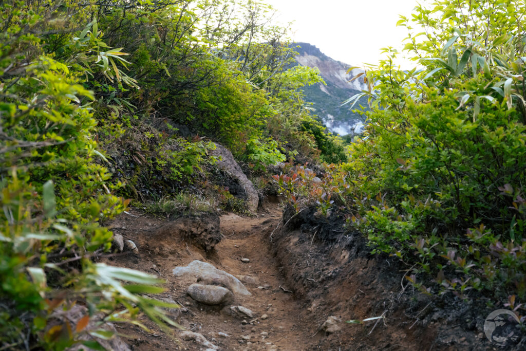白糸の滝を過ぎた辺り