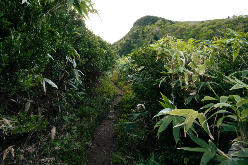 沼尻登山道から見た障子ヶ岩