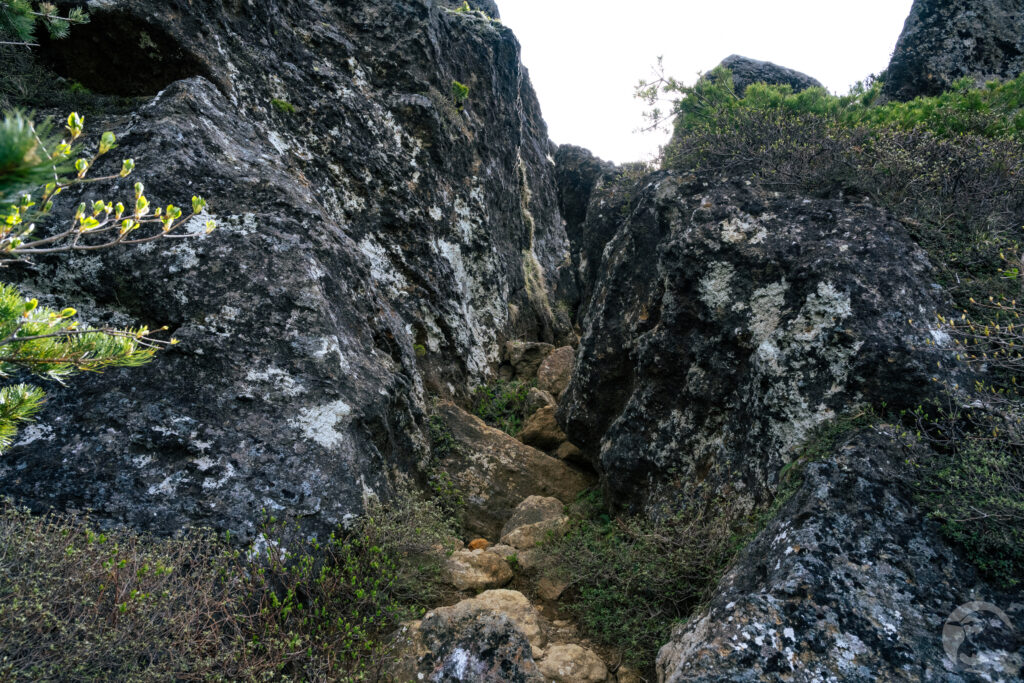 船明神山岩塊の岩場