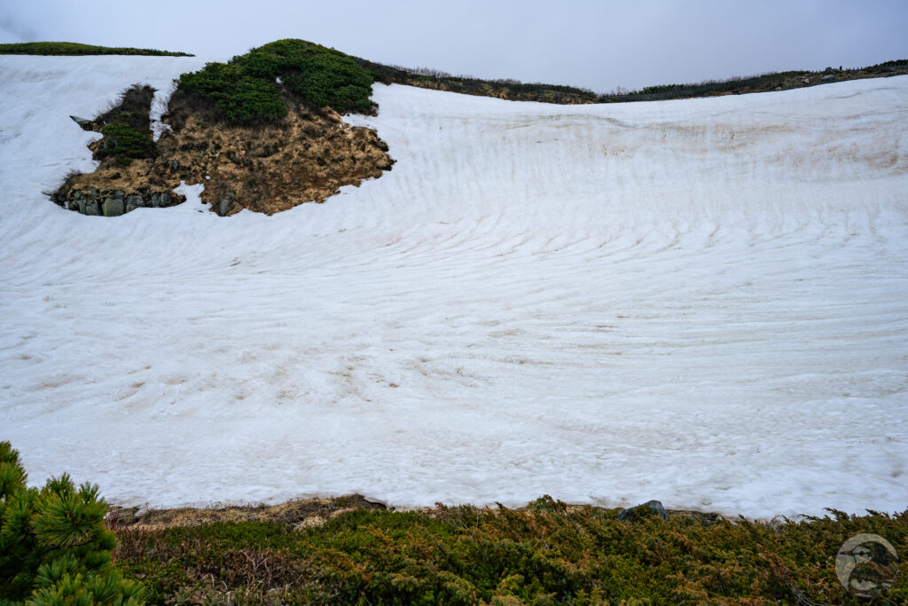 雪に覆われる血の池