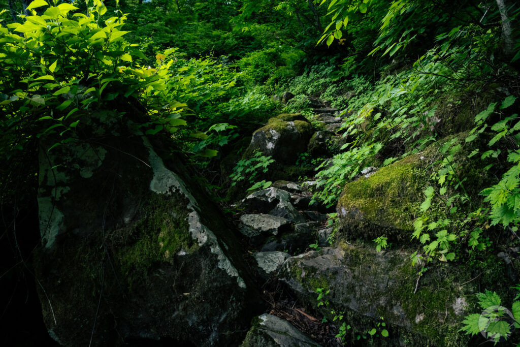 薬師堂脇の登山道