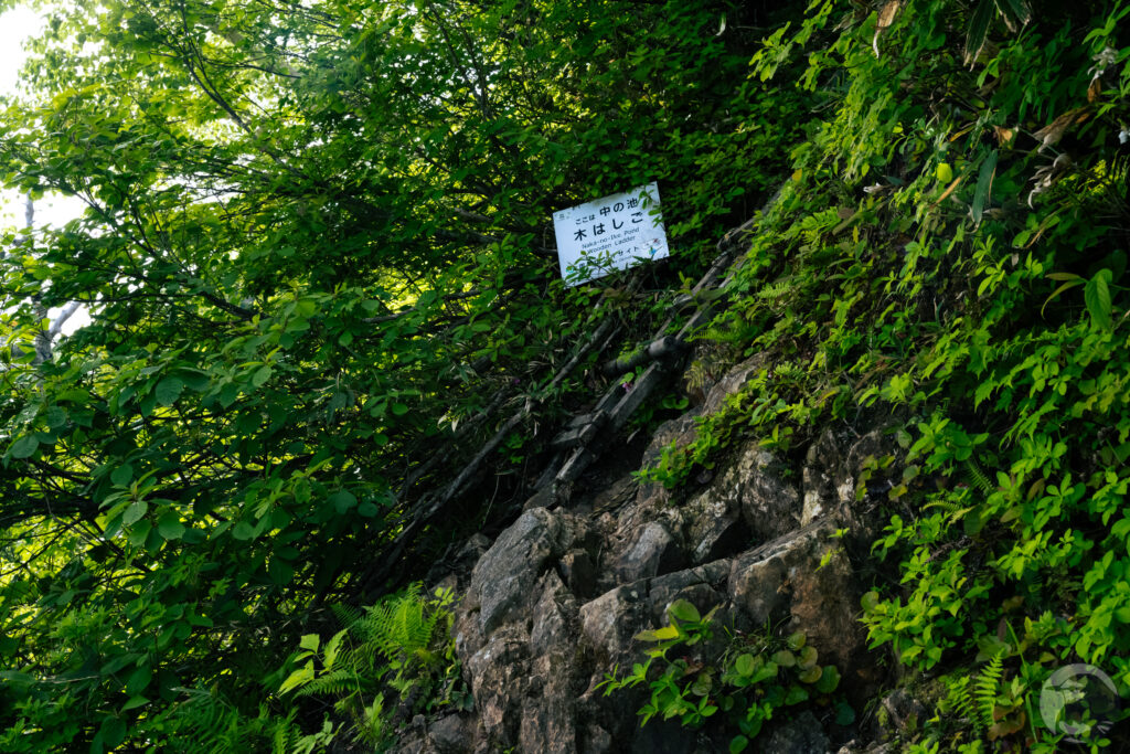 中の池木はしご