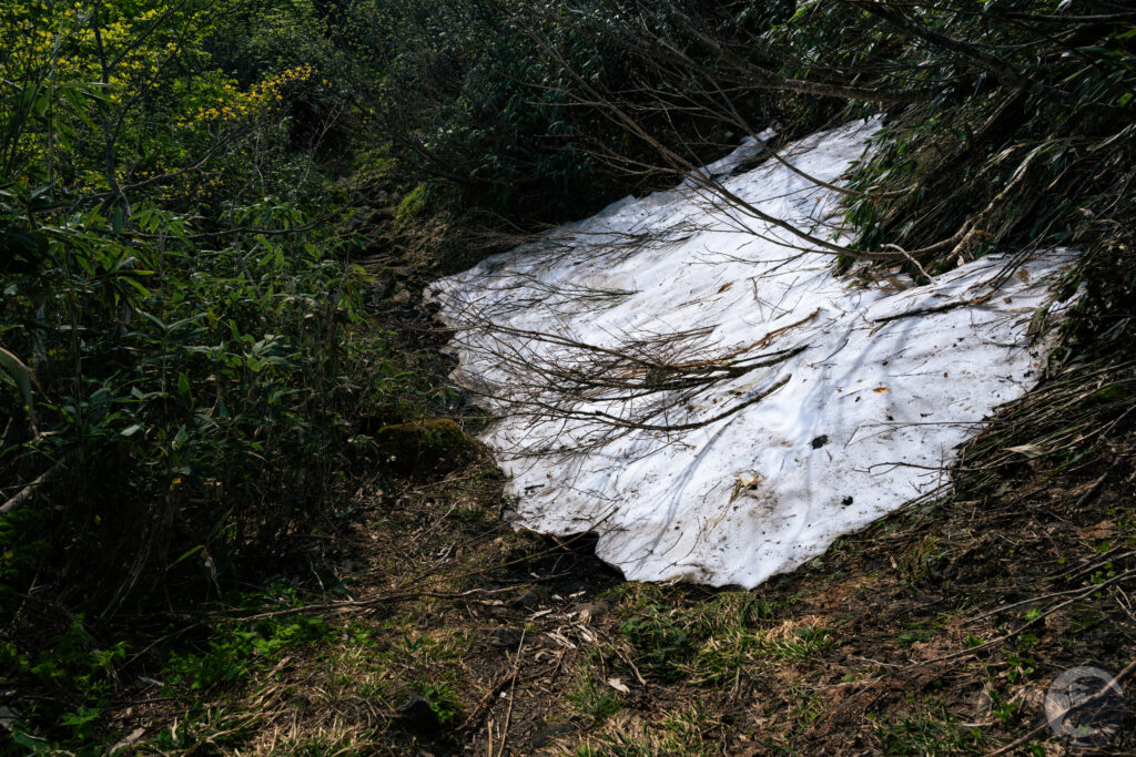 登山道わきの残雪