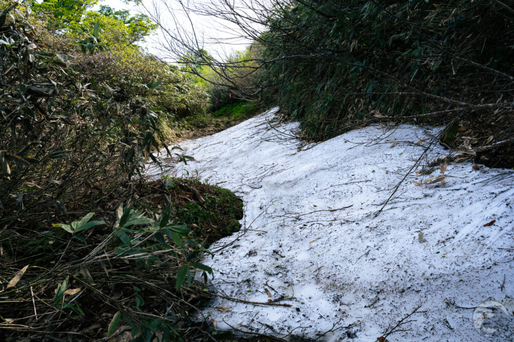 登山道の残雪