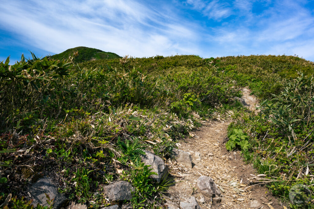 笹平と山頂遠景