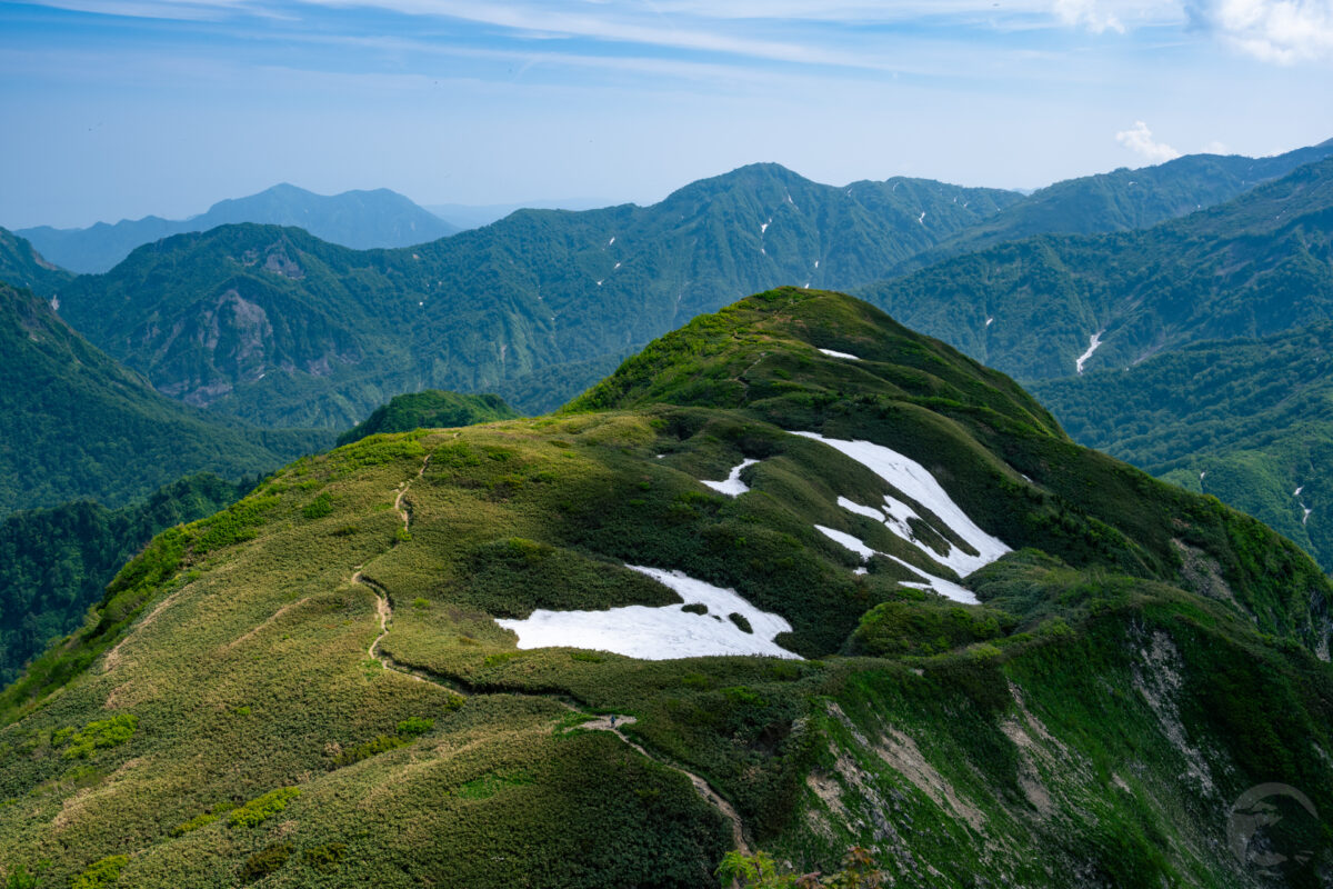 【中部】雨飾山【6月】