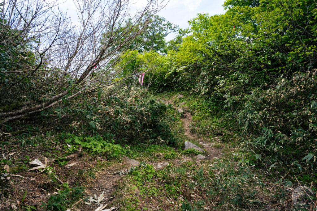 下山路