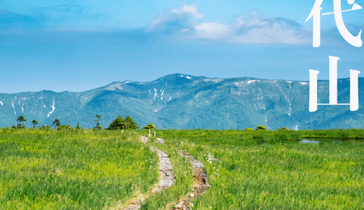 【東北】田代山・帝釈山〜猿倉登山口から春の山頂湿原へ〜【6月】