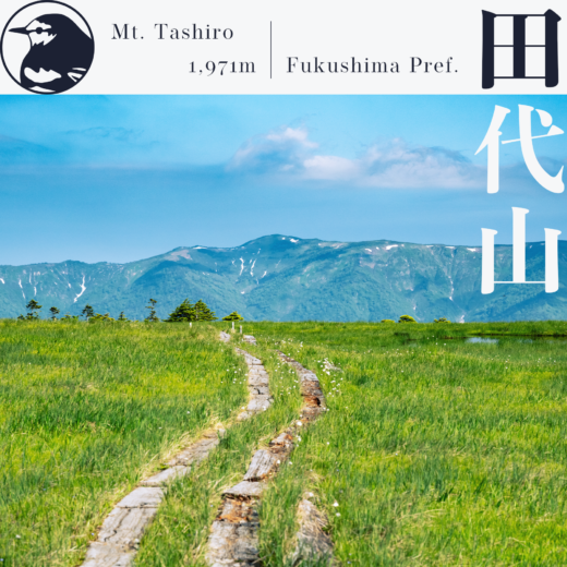 【東北】田代山・帝釈山〜猿倉登山口から春の山頂湿原へ〜【6月】