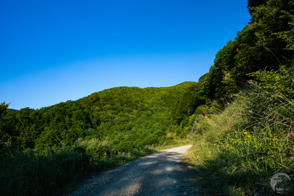 田代山林道ガードレール
