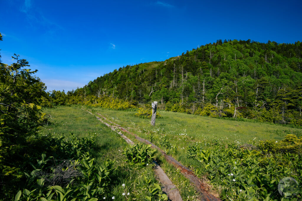 小田代
