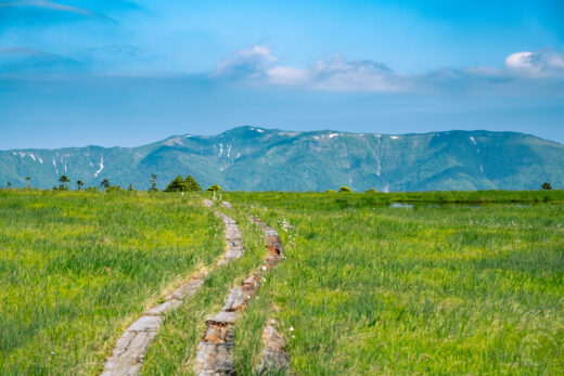 【東北】田代山・帝釈山〜猿倉登山口から春の山頂湿原へ〜【6月】