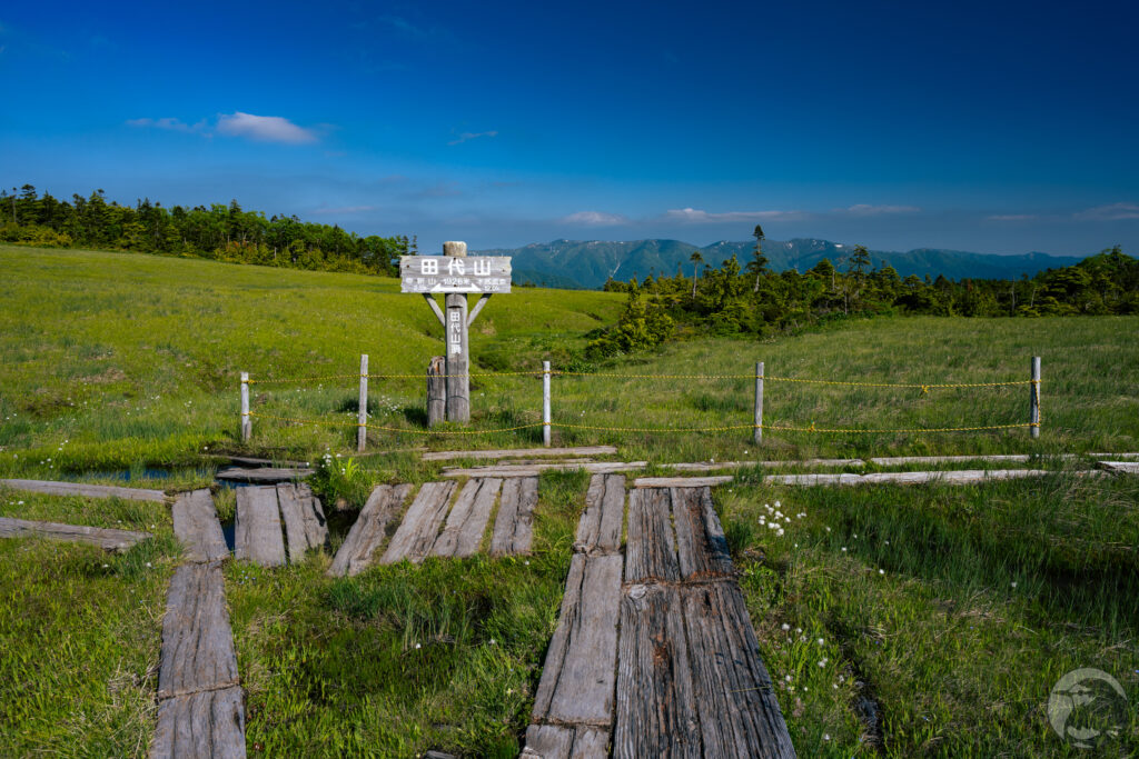 田代山看板