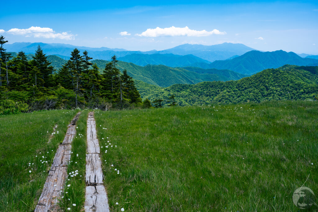山頂湿原帰り道