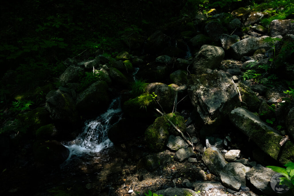 登山口の川復路