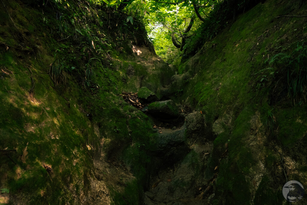 横峰手前