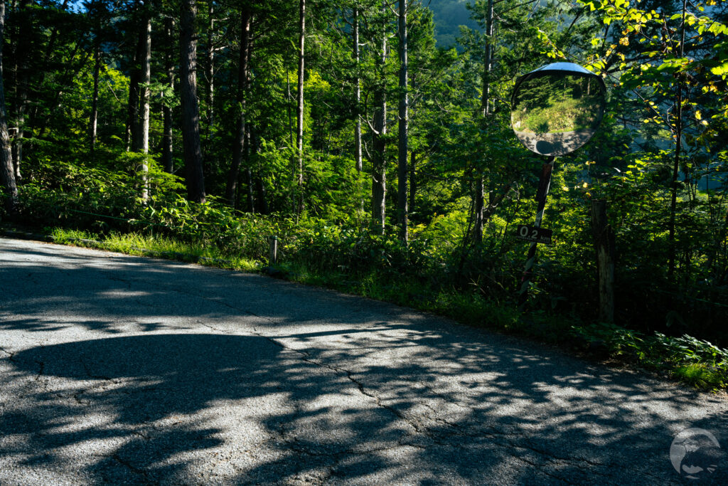 登山口への舗装路