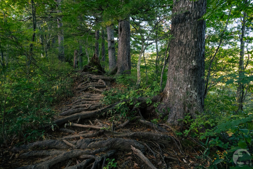 登山口からの登り
