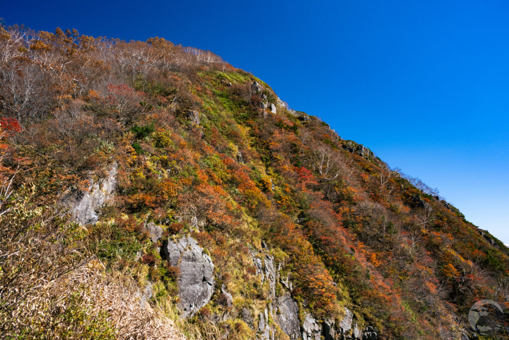 小朝日岳南西面紅葉
