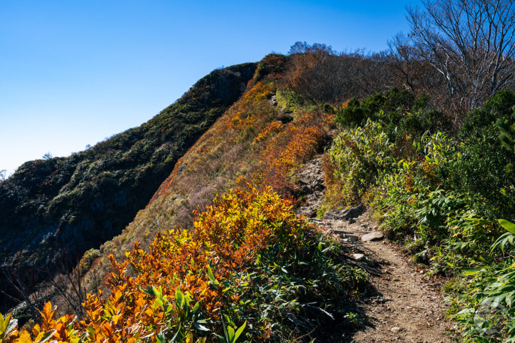 小朝日岳鞍部登り