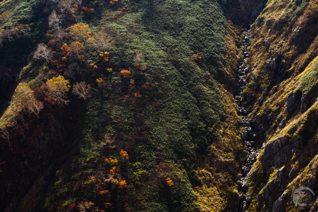大朝日岳山肌
