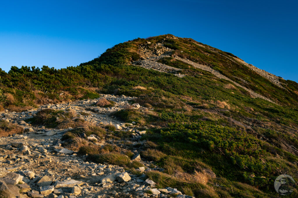 大朝日岳登り夕方