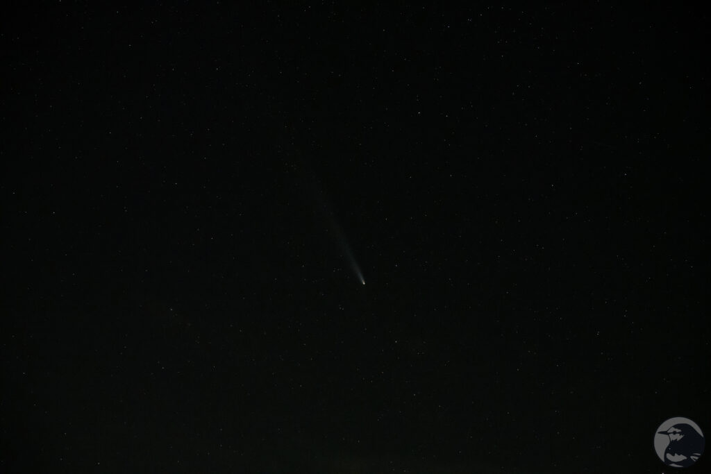 紫金山・アトラス彗星