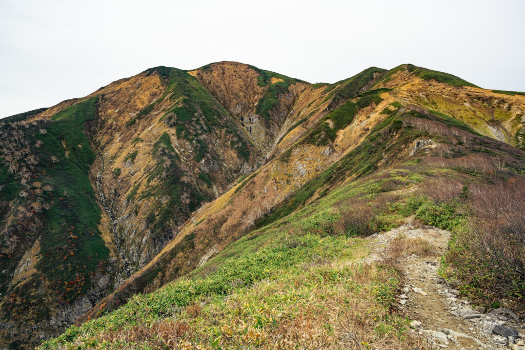 雲りの大朝日岳
