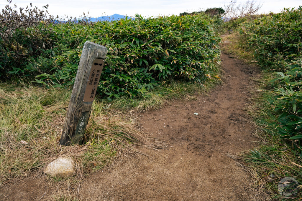 小朝日岳巻き道分岐