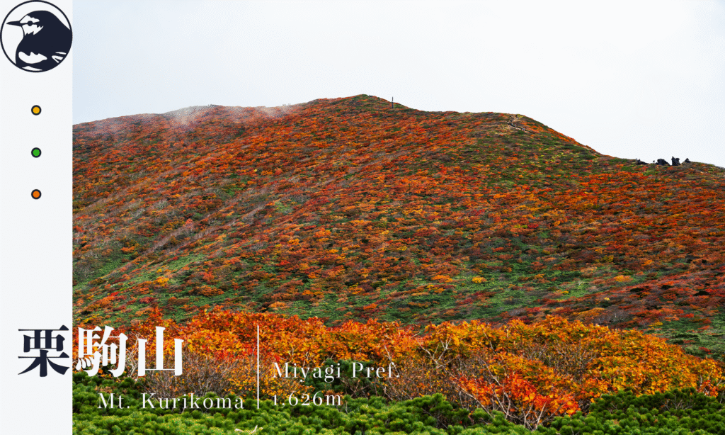 栗駒山アイキャッチ