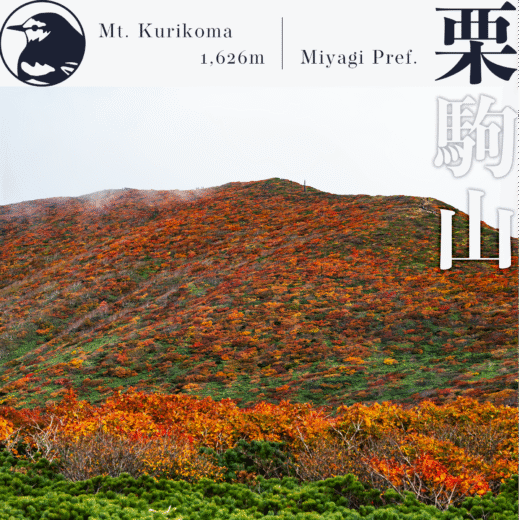 【東北】栗駒山～霧に包まれる紅葉の名山をいわかがみ平から登る～【10月】