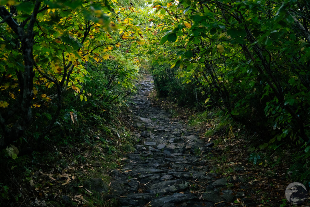 中央ルート石畳