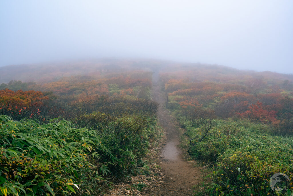 中央ルート緩斜面