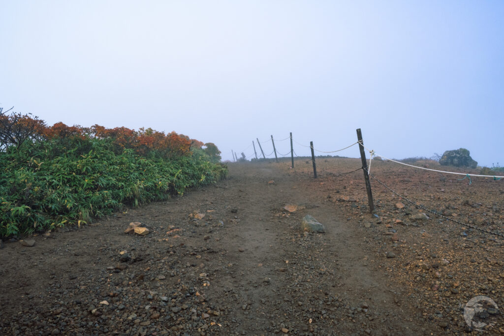 山頂から秣岳への分岐